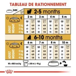 ROYAL CANIN Yorkshire Terrier Puppy 1,5kg 13 ROYAL CANIN Yorkshire Terrier Puppy 1,5kg -L'effet animalerie de la maison. fre pl ROYAL CANIN Yorkshire Terrier Puppy 1 5kg 9597 6