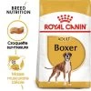 Royal Canin Boxer Adult 12kg 2 Royal Canin Boxer Adult 12kg -L'effet animalerie de la maison. fre pl Royal Canin Boxer Adult 12kg 9122 1