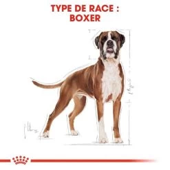 Royal Canin Boxer Adult 12kg -L'effet animalerie de la maison. fre pl Royal Canin Boxer Adult 12kg 9122 3