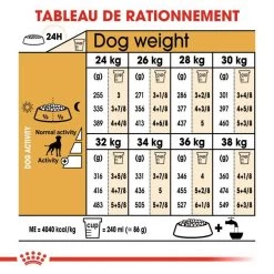 Royal Canin Boxer Adult 12kg -L'effet animalerie de la maison. fre pl Royal Canin Boxer Adult 12kg 9122 6