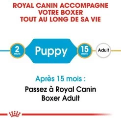 Royal Canin Boxer Puppy 12kg 11 Royal Canin Boxer Puppy 12kg -L'effet animalerie de la maison. fre pl Royal Canin Boxer Puppy 12kg 9124 4