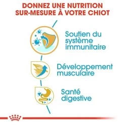 Royal Canin Boxer Puppy 12kg 12 Royal Canin Boxer Puppy 12kg -L'effet animalerie de la maison. fre pl Royal Canin Boxer Puppy 12kg 9124 5