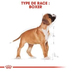 Royal Canin Boxer Puppy 12kg 13 Royal Canin Boxer Puppy 12kg -L'effet animalerie de la maison. fre pl Royal Canin Boxer Puppy 12kg 9124 6