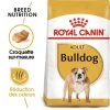 Royal Canin Bulldog Adult 12kg 1 Royal Canin Bulldog Adult 12kg -L'effet animalerie de la maison. fre pl Royal Canin Bulldog Adult 12kg 9130 1