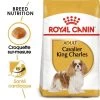 Royal Canin Cavalier King Charles Spaniel Adult 1,5kg 2 Royal Canin Cavalier King Charles Spaniel Adult 1,5kg -L'effet animalerie de la maison. fre pl Royal Canin Cavalier King Charles Spaniel Adult 1 5kg 9143 1