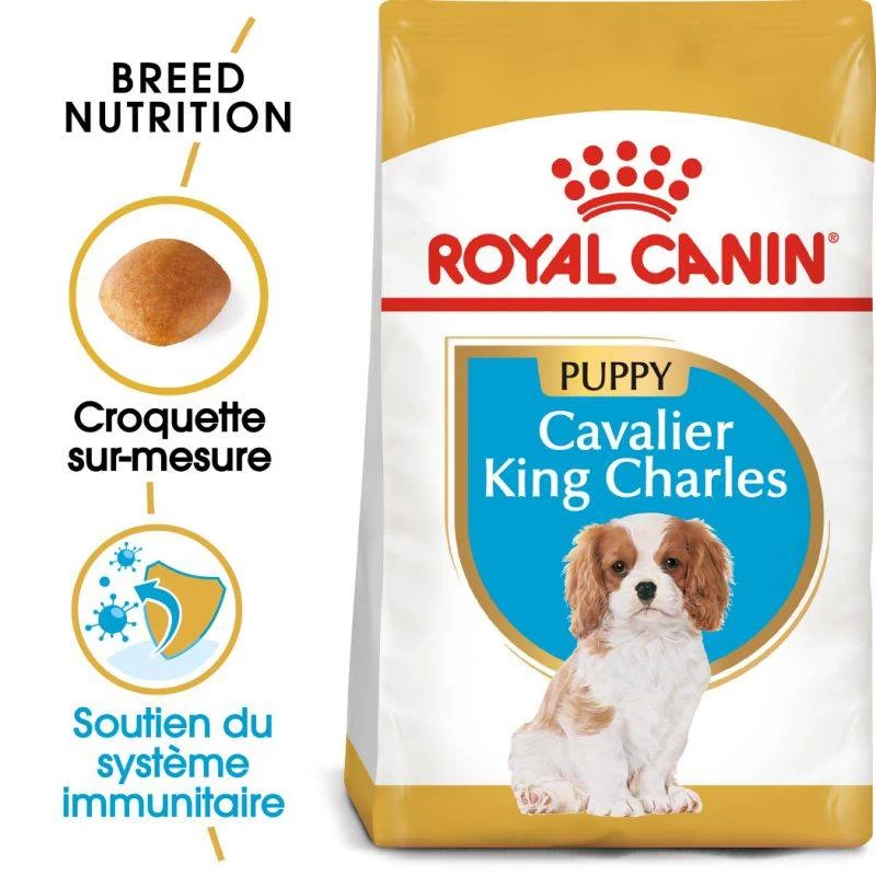 Royal Canin Cavalier King Charles Spaniel Puppy 1,5kg 3 Royal Canin Cavalier King Charles Spaniel Puppy 1,5kg