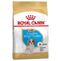 Royal Canin Cavalier King Charles Spaniel Puppy 1,5kg 9 Royal Canin Cavalier King Charles Spaniel Puppy 1,5kg -L'effet animalerie de la maison. fre pl Royal Canin Cavalier King Charles Spaniel Puppy 1 5kg 9177 2