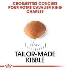 Royal Canin Cavalier King Charles Spaniel Puppy 1,5kg 11 Royal Canin Cavalier King Charles Spaniel Puppy 1,5kg -L'effet animalerie de la maison. fre pl Royal Canin Cavalier King Charles Spaniel Puppy 1 5kg 9177 3