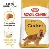 Royal Canin Cocker Spaniel Adult 12kg -L'effet animalerie de la maison. fre pl Royal Canin Cocker Spaniel Adult 12kg 9147 1