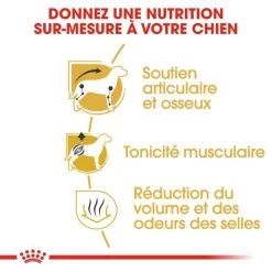 Royal Canin Dachshund Adult 7,5kg -L'effet animalerie de la maison. fre pl Royal Canin Dachshund Adult 7 5kg 9149 3