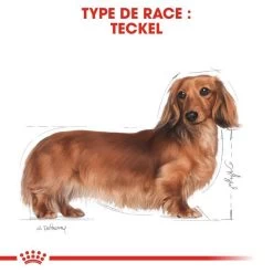 Royal Canin Dachshund Adult 7,5kg -L'effet animalerie de la maison. fre pl Royal Canin Dachshund Adult 7 5kg 9149 6