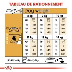 Royal Canin French Bulldog Adult 9kg 11 Royal Canin French Bulldog Adult 9kg -L'effet animalerie de la maison. fre pl Royal Canin French Bulldog Adult 9kg 9161 1