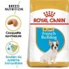 Royal Canin French Bulldog Puppy 1kg -L'effet animalerie de la maison. fre pl Royal Canin French Bulldog Puppy 1kg 9189 1