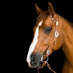 TickLess Cheval Sans Tique - Marron -L'effet animalerie de la maison. fre pl TickLess Cheval sans tique marron 26621 3