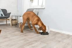 Trixie Mangeoire Automatique TX2 600ml -L'effet animalerie de la maison. fre pl Trixie Mangeoire automatique TX2 600ml 8755 2