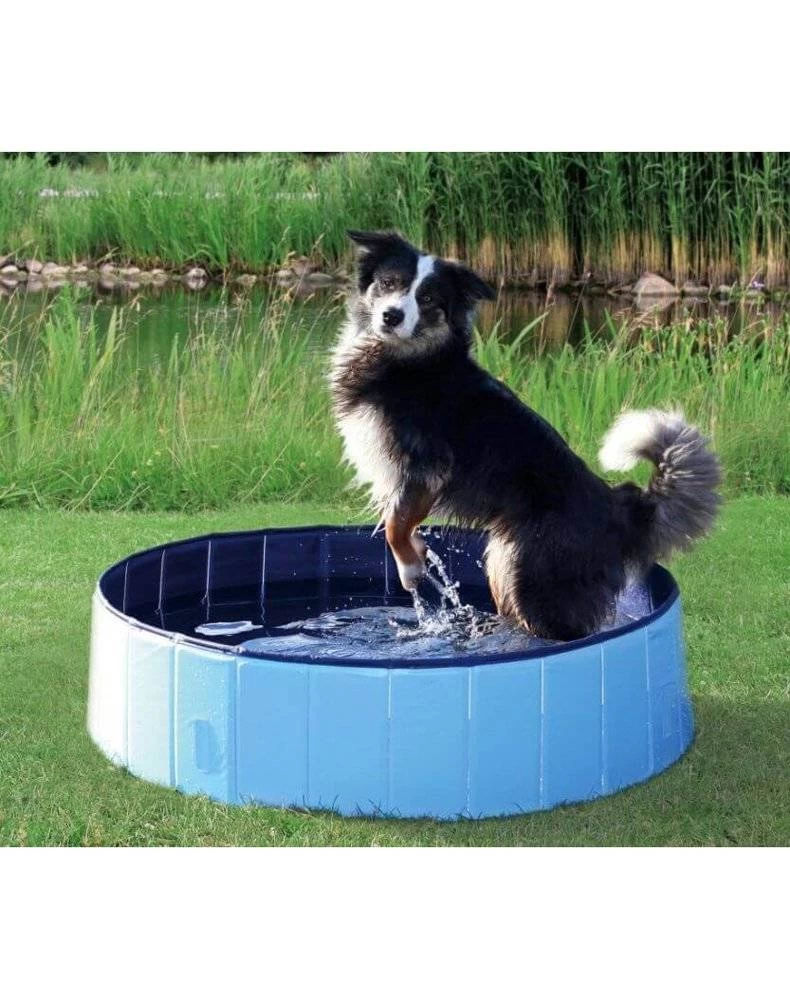 Trixie Piscine Pour Chien 120x30cm
