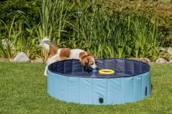 Trixie Piscine Pour Chien 120x30cm -L'effet animalerie de la maison. fre pl Trixie Piscine pour chien 120x30cm 11266 3