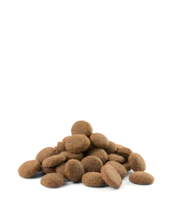 VERSELE-LAGA Opti Life Adult Maxi 12,5kg Au Poulet Pour Grandes Races -L'effet animalerie de la maison. fre pl VERSELE LAGA Opti Life Adult Maxi 12 5kg au poulet pour grandes races 15486 3