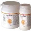 VETOQUINOL IPAKITINE POUDRE - Vitamine De Soutien Aux Reins 180g 1 VETOQUINOL IPAKITINE POUDRE - Vitamine De Soutien Aux Reins 180g -L'effet animalerie de la maison. fre pl VETOQUINOL IPAKITINE POUDRE Vitamine de soutien aux reins 180g 9386 1