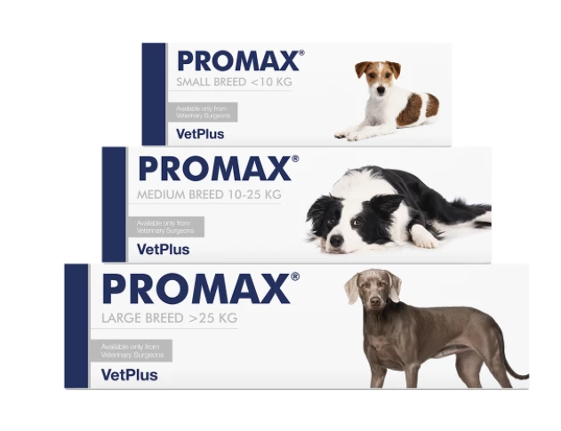 VETPLUS Promax Probiotique Pour Petites Races 9ml 4 VETPLUS Promax Probiotique Pour Petites Races 9ml – Image 2