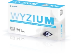 Wyzium 2x20 Comprimés