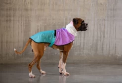 ZEE DOG Bel-Air Imperméable Pour Votre Chien M -L'effet animalerie de la maison. fre pl ZEE DOG Bel Air Impermeable pour votre chien M 13366 2
