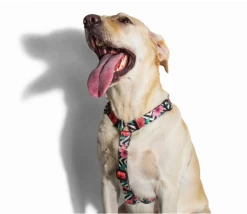 ZEE DOG Mahalo S Harnais Pour Chien -L'effet animalerie de la maison. fre pl ZEE DOG Mahalo S harnais pour chien 22196 2