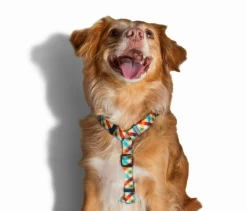 ZEE DOG PHANTOM Harnais Pour Chien M 5 ZEE DOG PHANTOM Harnais Pour Chien M -L'effet animalerie de la maison. fre pl ZEE DOG PHANTOM Harnais pour chien M 13347 2