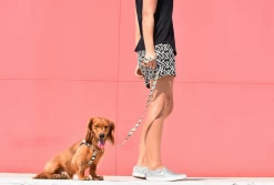 ZEE DOG PHANTOM Laisse Pour Chien S -L'effet animalerie de la maison. fre pl ZEE DOG PHANTOM Laisse pour chien S 13349 2